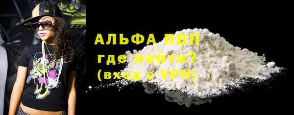 стафф Аркадак