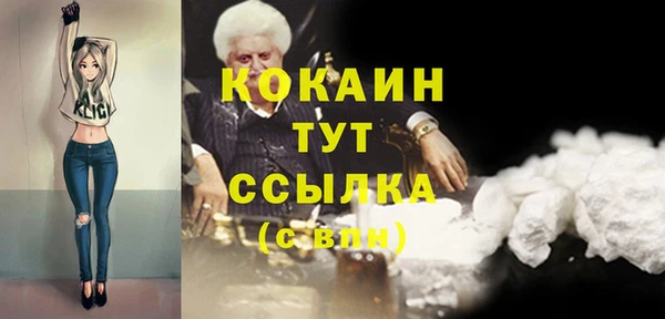 индика Армянск