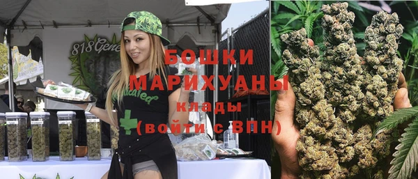 индика Армянск