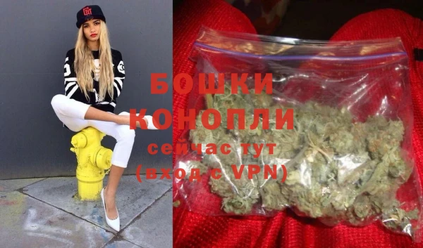 стафф Аркадак