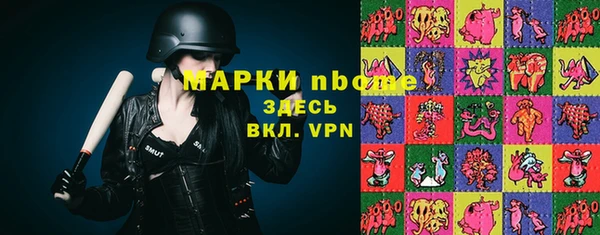 индика Армянск