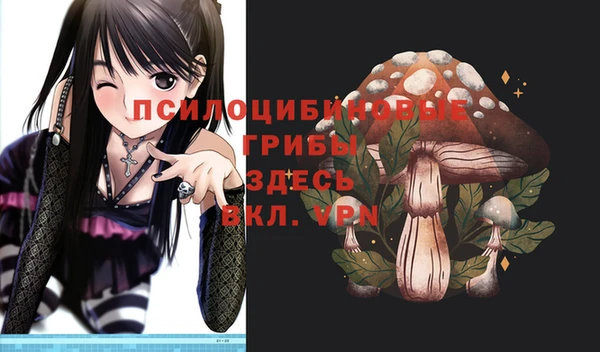 мдпв Арсеньев