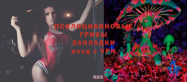 мдпв Арсеньев