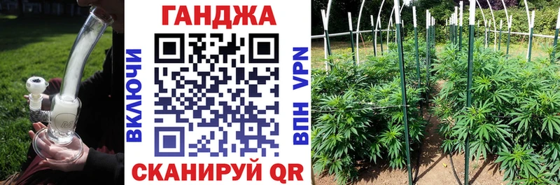 Бошки Шишки тримм  сайты даркнета официальный сайт  Нестеров 